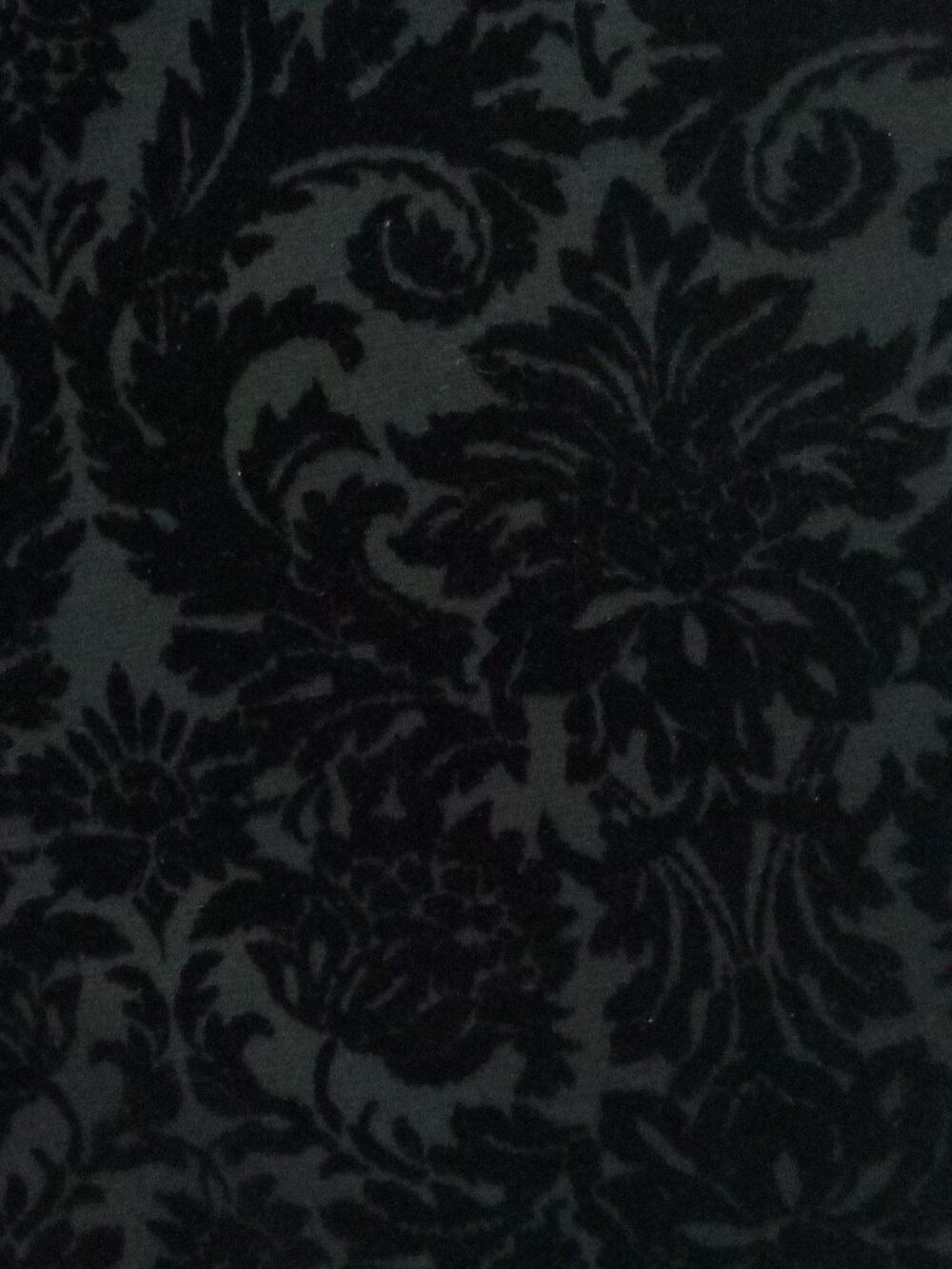 Roz & Ali Black Velvet Stretch Pants/Leggings Size 1X